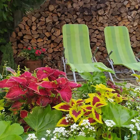 Gogol 14 в історичному центрі міста Daire *